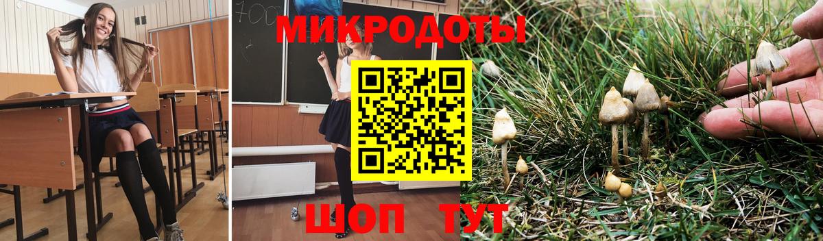 Галлюциногенные грибы Cubensis Нурлат