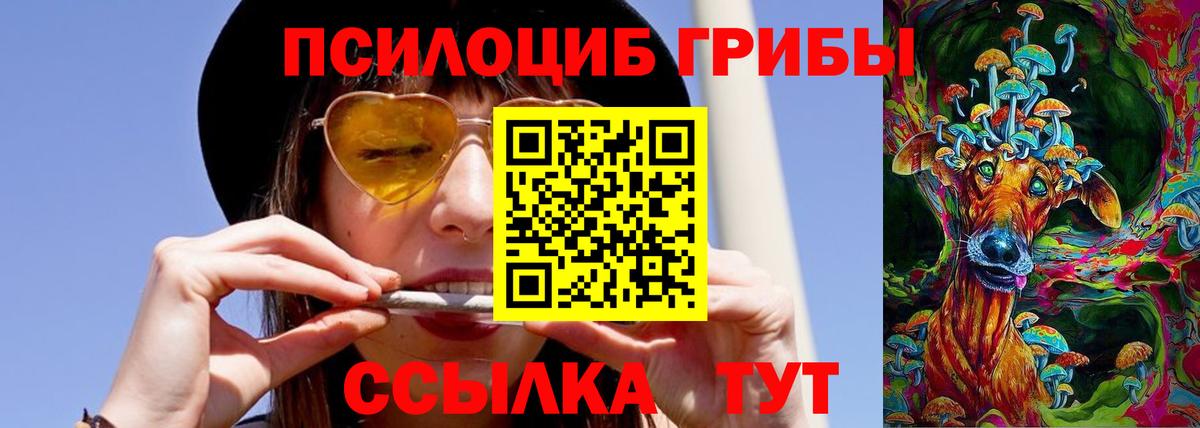 Нурлат  Галлюциногенные грибы прущие грибы  Вход с VPN  Псилоцибиновые грибы мухоморы 
